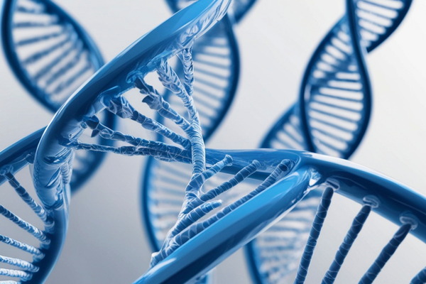 Evox Therapeutics enters partnership to evaluate new gene editing technology for Rett Syndrome