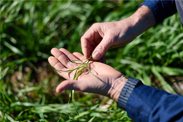 Moa Technology develops groundbreaking category of crop protection