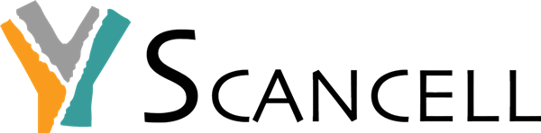 Scancell’s Modi-1 Moditope® vaccine achieves early clinical validation in head and neck cancer.