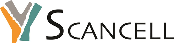 Improved outcomes in late-stage skin cancer revealed by new Scancell data